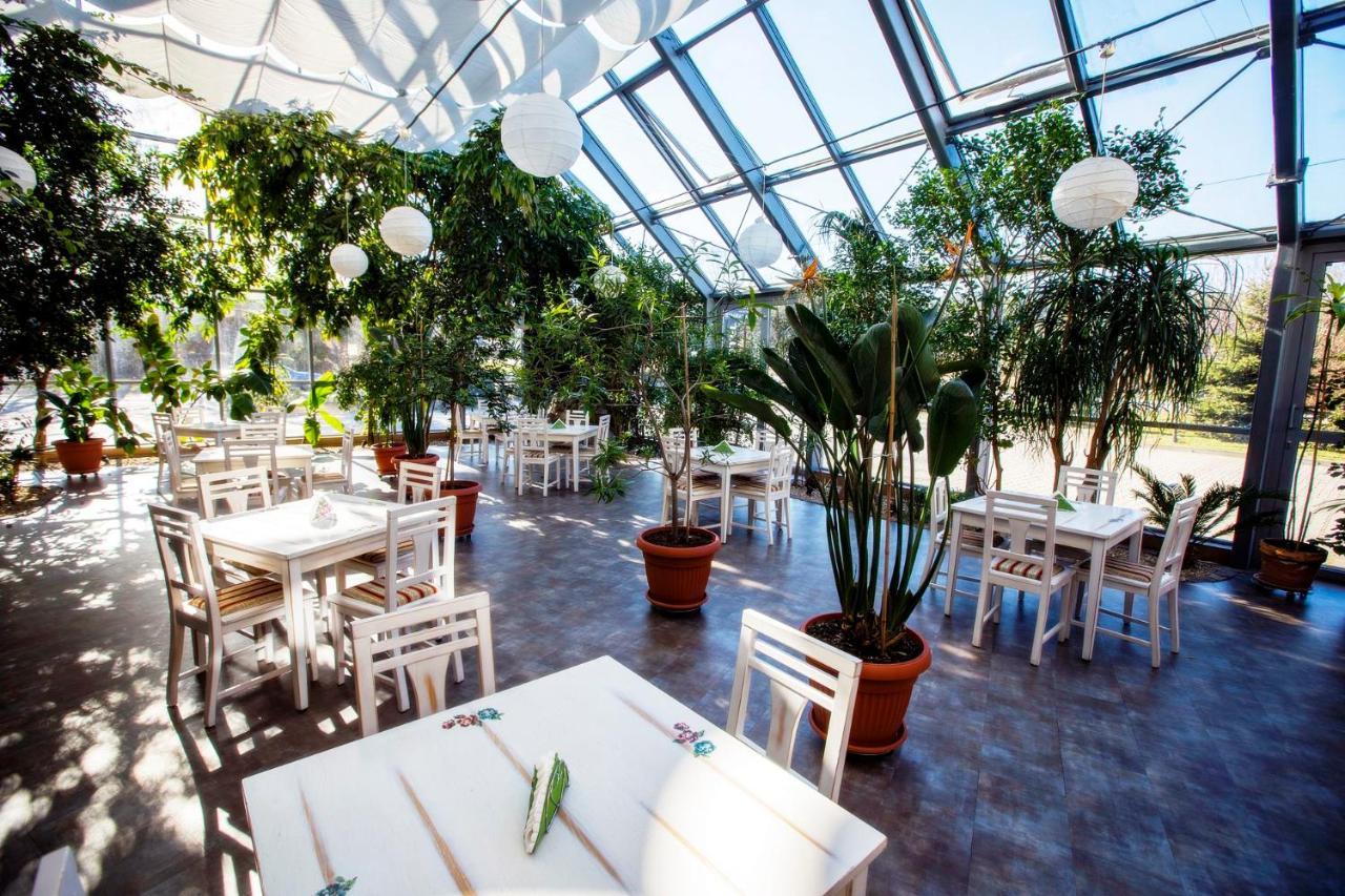 Hotel Luka 3*