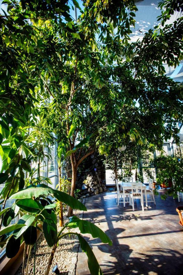 Hotel Luka 3*